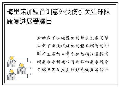 梅里诺加盟首训意外受伤引关注球队康复进展受瞩目